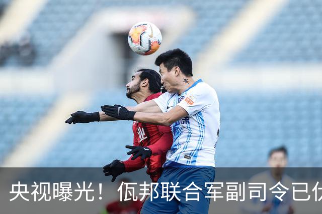 央视曝光！佤邦联合军副司令已伏法，蛇蝎美人白应兰还能躲多久？